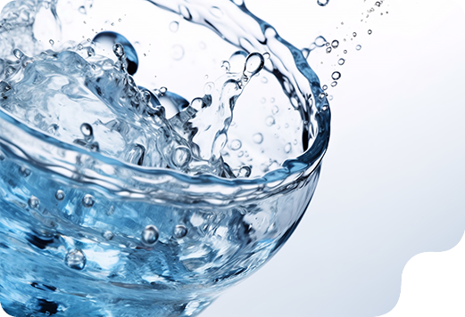 موزعات المياه الفوارة المدمجة: دليل المشتري